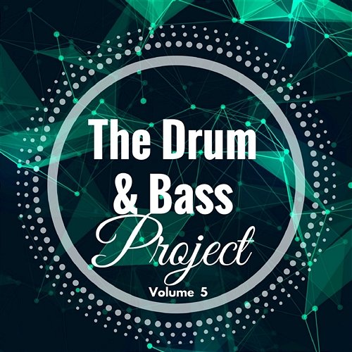 The Drum and Bass Project - Volume 5 Various Artists