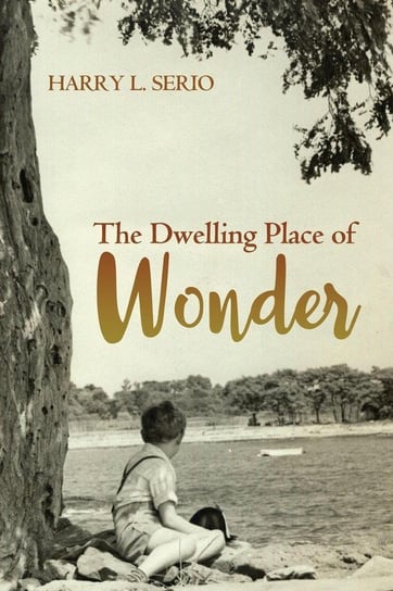 The Dwelling Place of Wonder Serio Harry L.