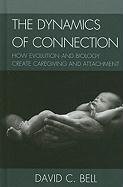 The Dynamics of Connection: How Evolution and Biology Create Caregiving and Attachment Bell David C.