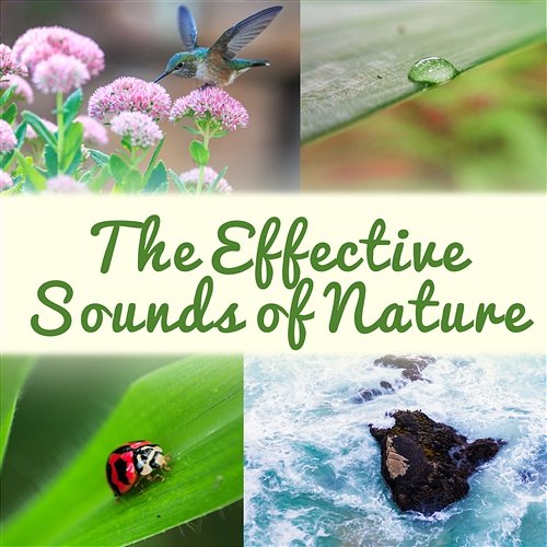 The Effective Sounds of Nature: The Best Music Collection for Relaxation, Stress Relief & Deep Sleep, Rain, Ocean, Forest, Sounds Therapy Serenity Nature Sounds Academy