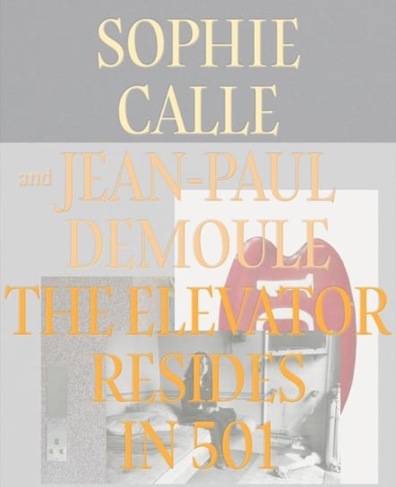 The Elevator Resides in 501 Calle Sophie, Jean-Paul Demoule