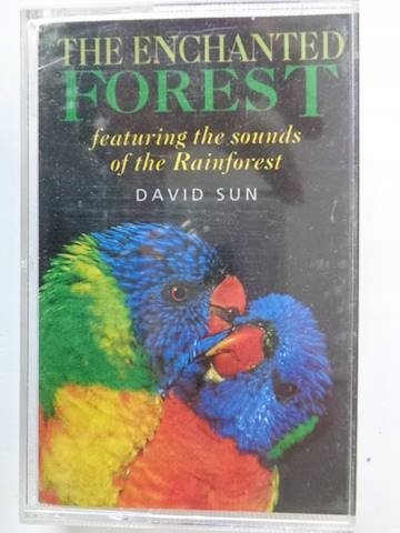 The enchanted Forest Sun David