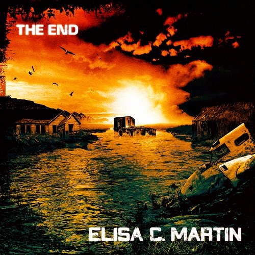 The End Elisa C. Martin