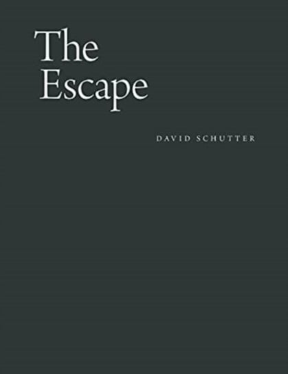 The Escape: From a Seventeenth-Century Drawing Manual of the Face and Its Expressions David Schutter