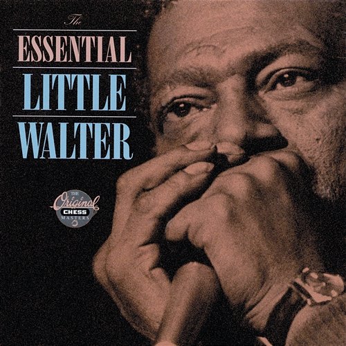 It's Too Late Brother Little Walter