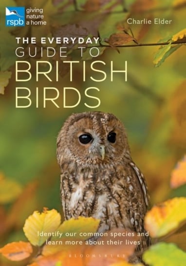 The Everyday Guide to British Birds: Identify our common species and learn more about their lives Charlie Elder
