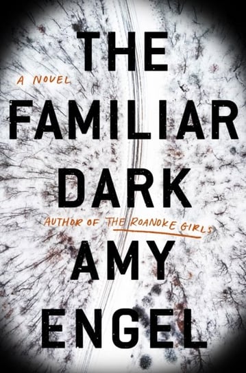 The Familiar Dark: A Novel Amy Engel