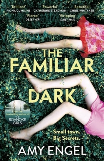 The Familiar Dark: The must-read, utterly gripping thriller you wont be able to put down Engel Amy