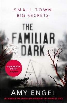 The Familiar Dark: The spellbinding book club thriller of 2020 that will blow you away Engel Amy