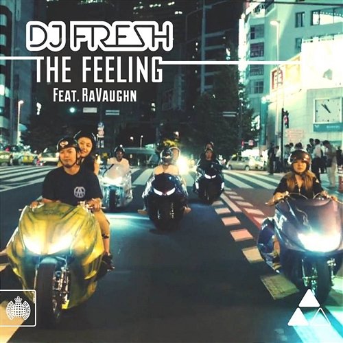 The Feeling DJ Fresh feat. RaVaughn