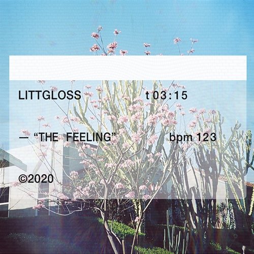 The Feeling LittGloss