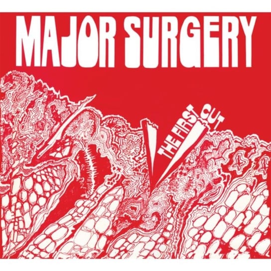 The First Cut Surgery Major