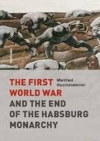 The First World War Rauchensteiner Manfried