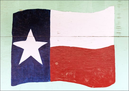 The flag of Texas, Carol Highsmith - plakat 100x70 cm Galeria Plakatu