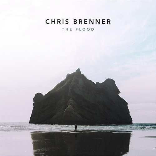 The Flood Chris Brenner