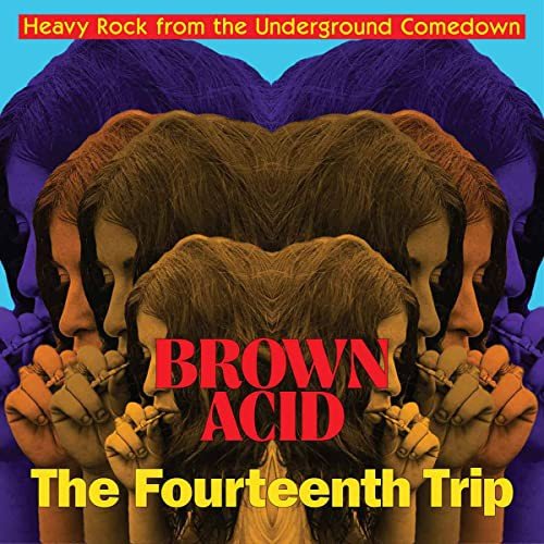 The Fourteenth Trip Various Artists