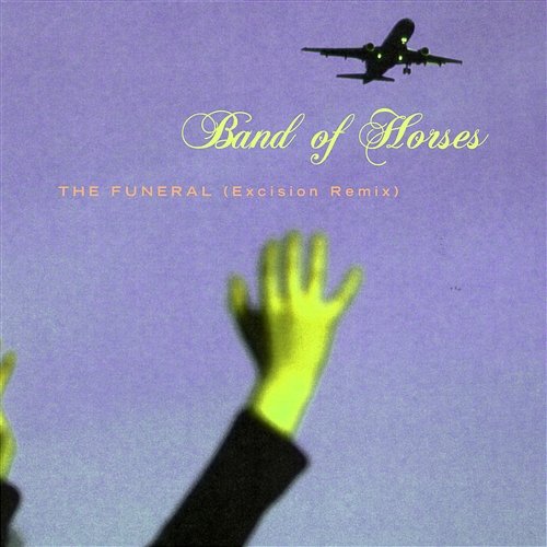 The Funeral Band Of Horses