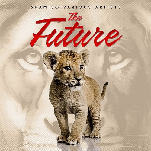 The Future Shamiso Various Artists
