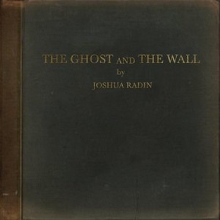 The Ghost And The Wall Radin Joshua