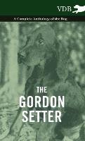 The Gordon Setter - A Complete Anthology of the Dog Various