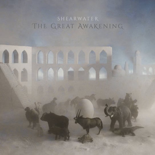 The Great Awakening Shearwater