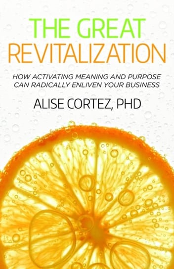 The Great Revitalization: How activating meaning and purpose can radically enliven your business Practical Inspiration Publishing