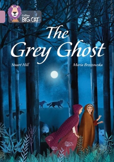 The Grey Ghost: Band 18Pearl Hill Stuart