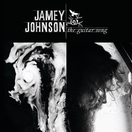 The Guitar Song Jamey Johnson
