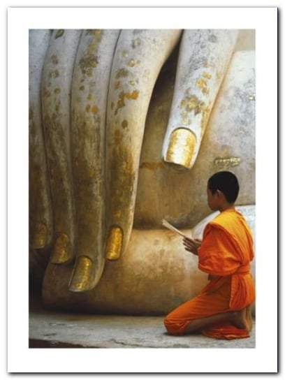 The Hand Of Buddha plakat obraz 60x80cm Wizard+Genius