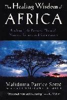 The Healing Wisdom of Africa Some Malidoma Patrice