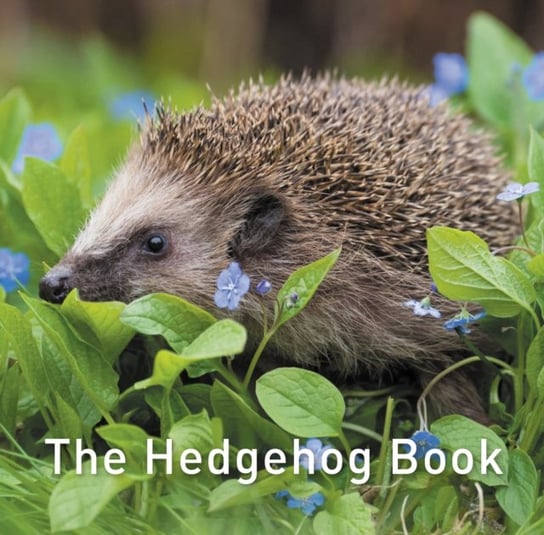 The Hedgehog Book Warwick Hugh
