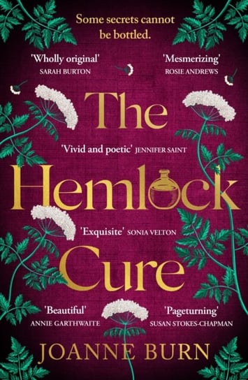 The Hemlock Cure: "A beautifully written story of the women of Eyam" Jennifer Saint, author of ARIADNE Joanne Burn