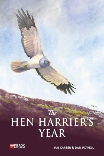 The Hen Harrier's Year Ian Carter
