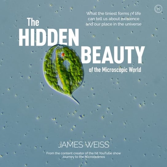 The Hidden Beauty of the Microscopic World James Weiss