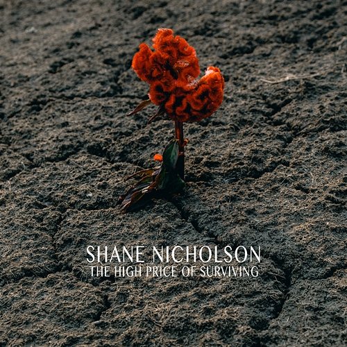 The High Price Of Surviving Shane Nicholson