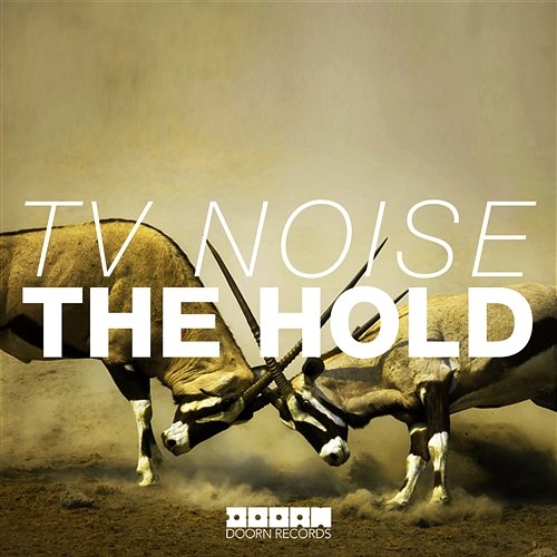 The Hold TV Noise