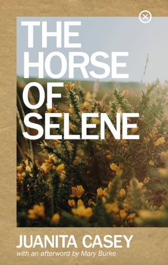 The Horse of Selene Juanita Casey