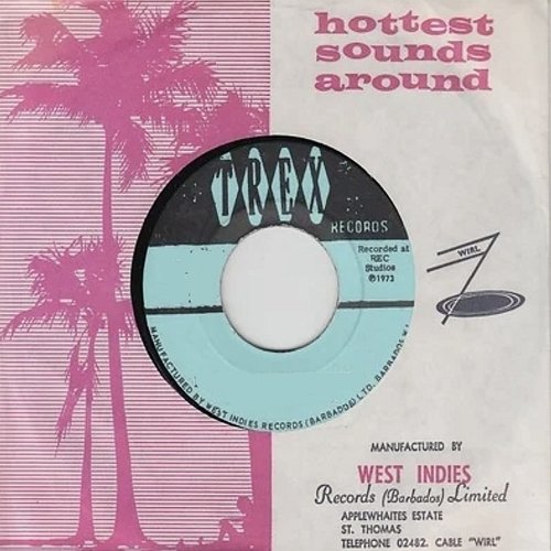 The Hottest Sounds Around: The Best of Trex Records, Vol. 3 Various Artists