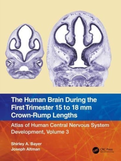 The Human Brain during the First Trimester 15- to 18-mm Crown-Rump Lengths: Atlas of Human Central Nervous System Development, Volume 3 Opracowanie zbiorowe