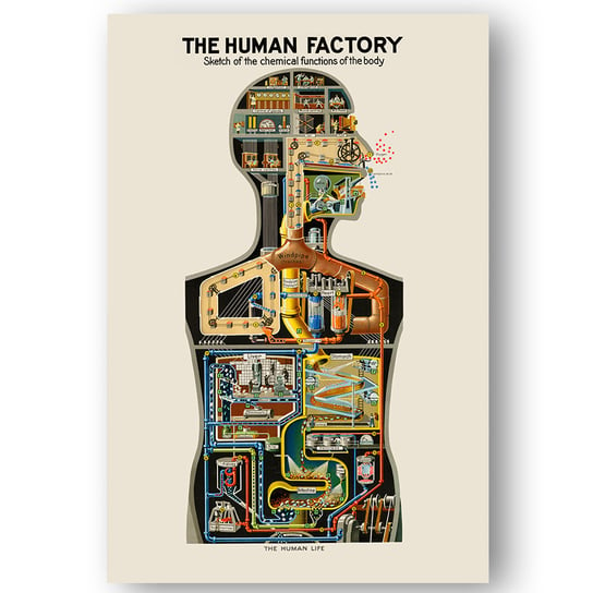 The Human Factory Plakat 61X91 DEKORAMA