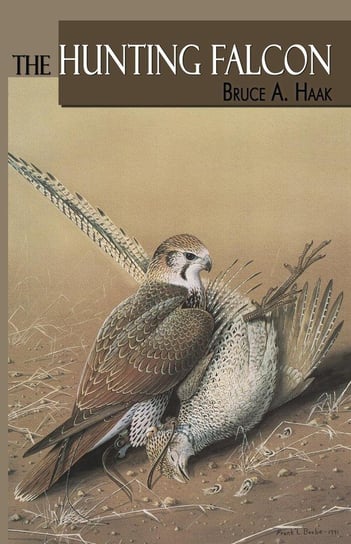 The Hunting Falcon Haak Bruce
