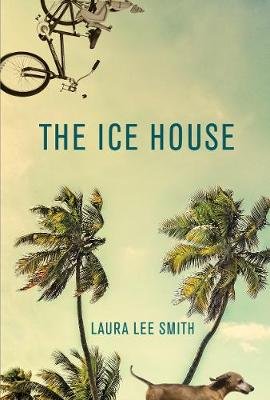 The Ice House Smith Laura Lee