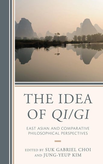 The Idea of Qi/Gi Null
