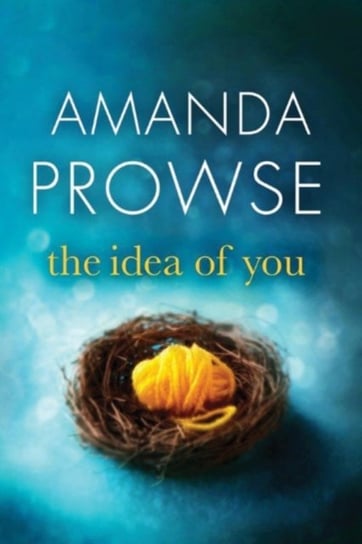 The Idea of You Prowse Amanda