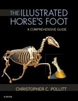 The Illustrated Horse's Foot: A Comprehensive Guide Pollitt Christopher C.