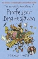 The Incredible Adventures of Professor Branestawm Hunter Norman