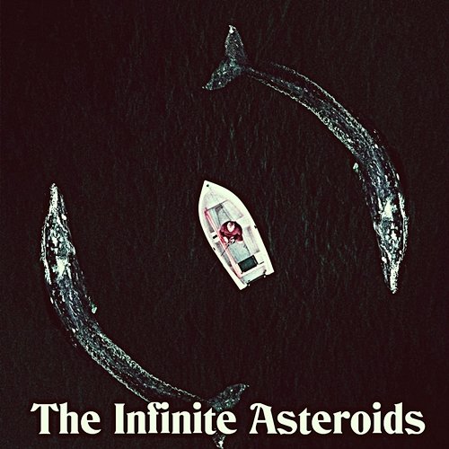 The Infinite Asteroids Radhika Steffen