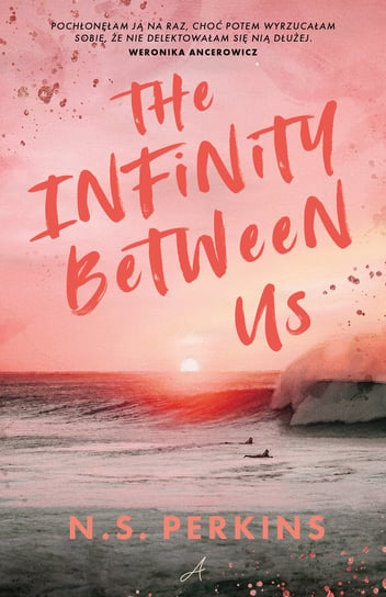 The Infinity Between Us N.S. Perkins