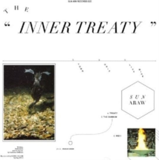 The Inner Treaty Sun Araw