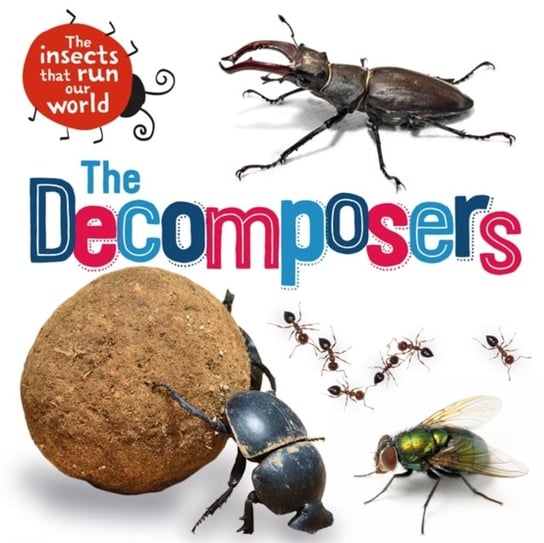 The Insects that Run Our World: The Decomposers Ridley Sarah